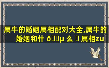 属牛的婚姻属相配对大全,属牛的婚姻和什 🌵 么 ☘ 属相zui
配、相克